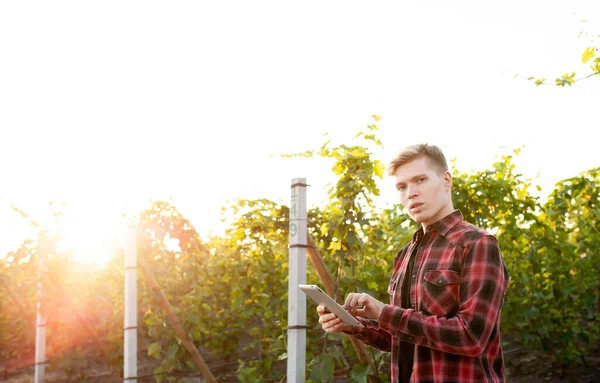 Agricultor Com Tablet Pôr Sol Campo Conceito Gestão Agrícola — Fotografia de Stock