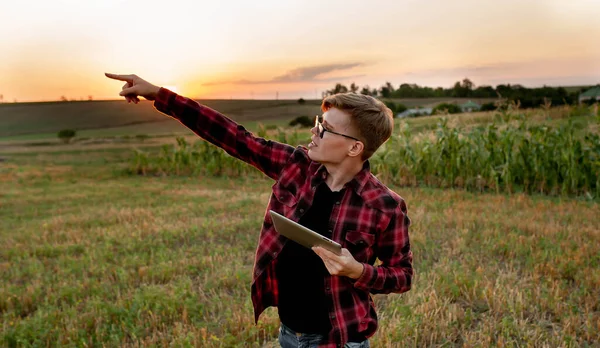 Agricultor Com Tablet Pôr Sol Campo Conceito Gestão Agrícola — Fotografia de Stock