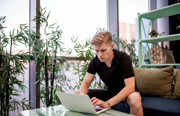 Kafeteryadaki masada otururken dizüstü bilgisayarla çalışan genç bir adam.