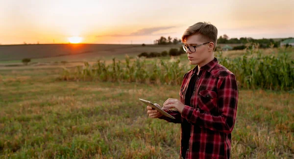 Tarlada gün batımında tabletli çiftçi, tarım yönetimi kavramı