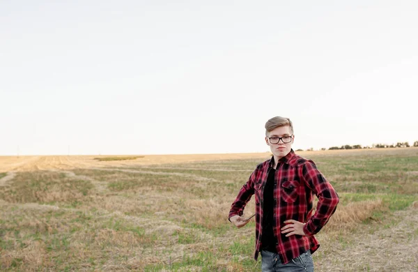 Tarlada gün batımında tabletli çiftçi, tarım yönetimi kavramı