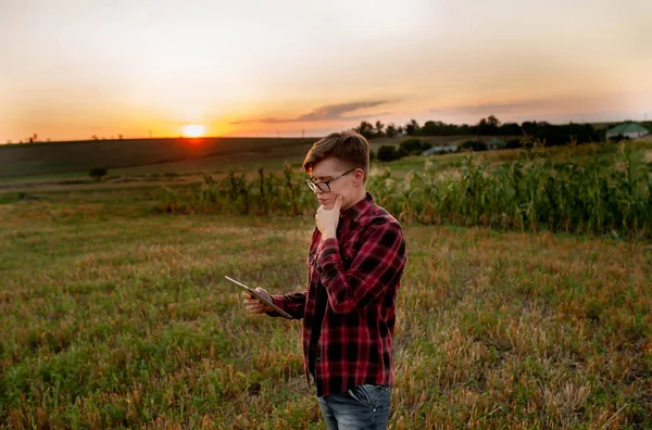 Agricultor Com Tablet Pôr Sol Campo Conceito Gestão Agrícola — Fotografia de Stock