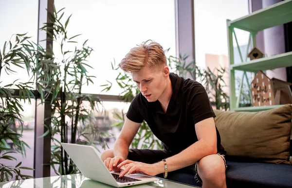 Kafeteryadaki masada otururken dizüstü bilgisayarla çalışan genç bir adam.