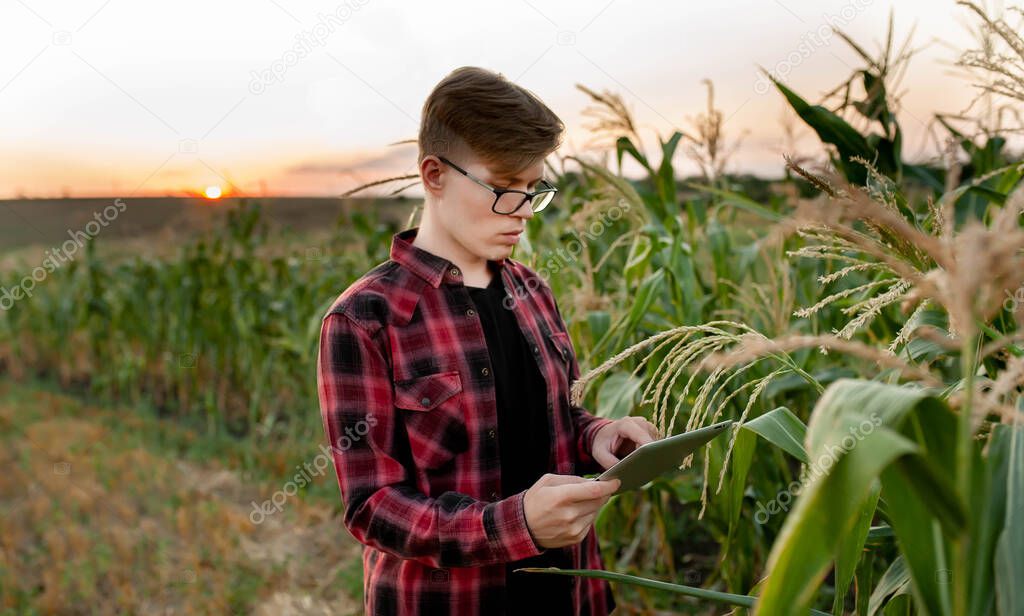 Farmer with tablet at sunset in the field, agriculture management concept