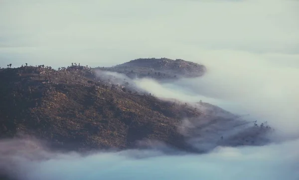 Poranna Mgła Górach — Zdjęcie stockowe