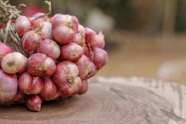 Arpacık hala ahşap arka plan üzerinde