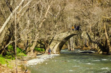 Bir köprü Nehri, eski taş nerede insanlar piknik için durdurmak köprü ve woodlands zam