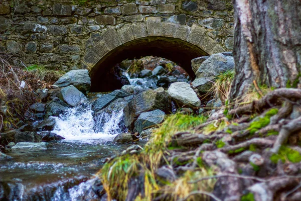 Road Bridge over the stream, in the mountain forest a small road bridge across a stream the beginning of the water falls in Mount Troodos, Cyprus