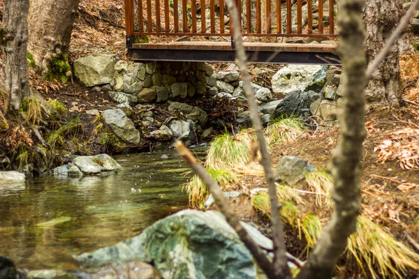 静かな水の上の橋 — ストック写真