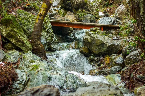 天然温泉はトロードス山の木製フラット フィートの橋 — ストック写真