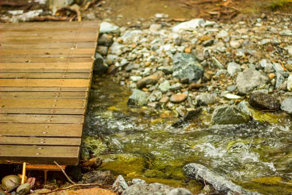 A wooden flat foot bridge in the Troodos Mountains