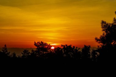 Sunrise gökyüzünde altın bir ekran ile