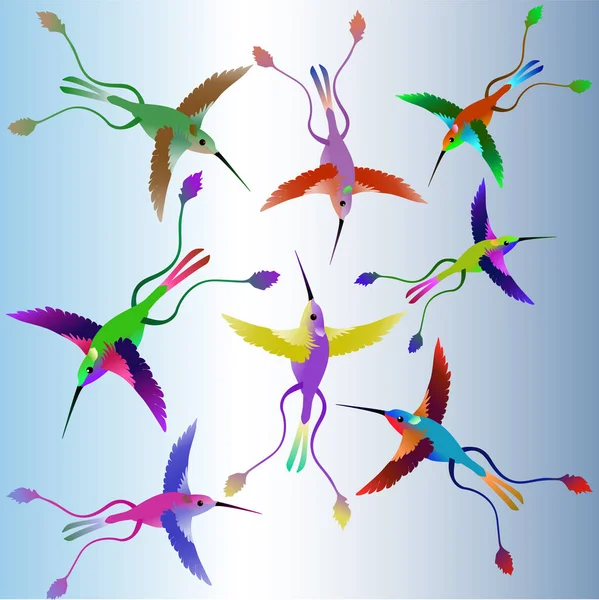 Les colibris tropicaux envolés de fleurs et d'alose différentes — Image vectorielle