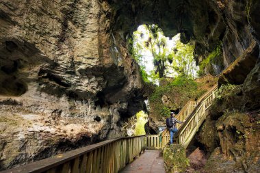 Adam doğal mağaralarda geçitten geçiyor. Mangapohue Doğal Köprüsü, Yeni Zelanda.