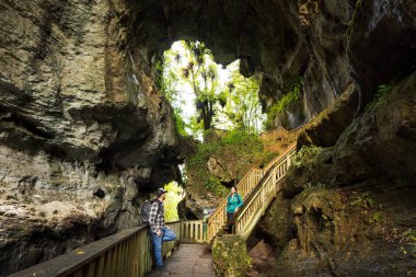 Mangapohue Doğal Köprüsü 'nde takılan çift Waikato, Yeni Zelanda' da bulunuyor..