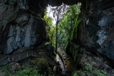 Mangapohue, Waikato, Yeni Zelanda 'daki doğal mağaralar. Eylül 2020.