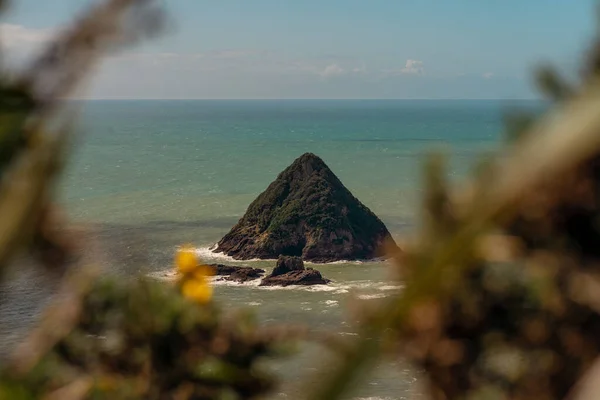 Vue Panoramique Île Moturoa Partir Paritutu Rock Port Taranaki New — Photo