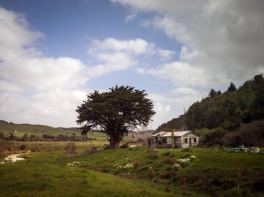 Tepelerin ortasındaki eski harabe çiftlik evi. Kırsal manzara.