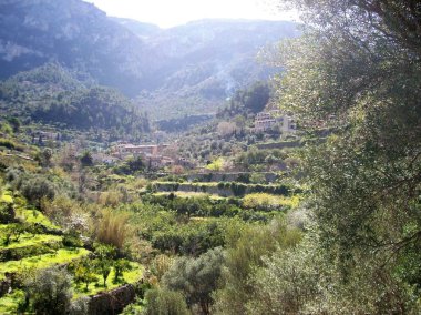 Atemberaubendes Tal im Sonnenlicht Mallorca