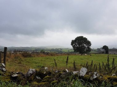 Nordengland 'deki çiftlik wunderschoener Landschaft im Nebel