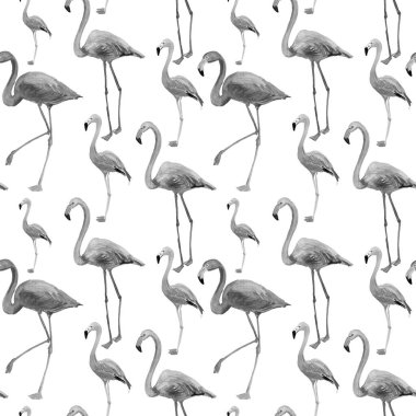 Flamingoları beyaz arkaplanda izole edilmiş pürüzsüz desen