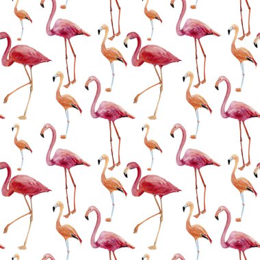 Pembe flamingolu kusursuz desen beyaz arkaplanda izole edilmiş.