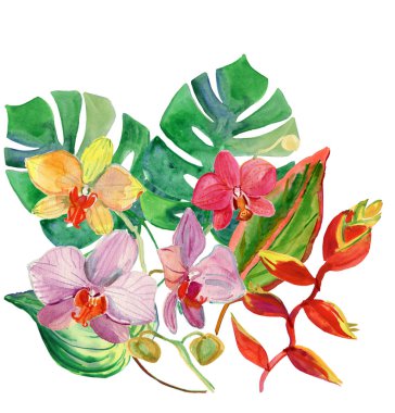 Beyaz arkaplanda yeşil yapraklı renkli orkideler