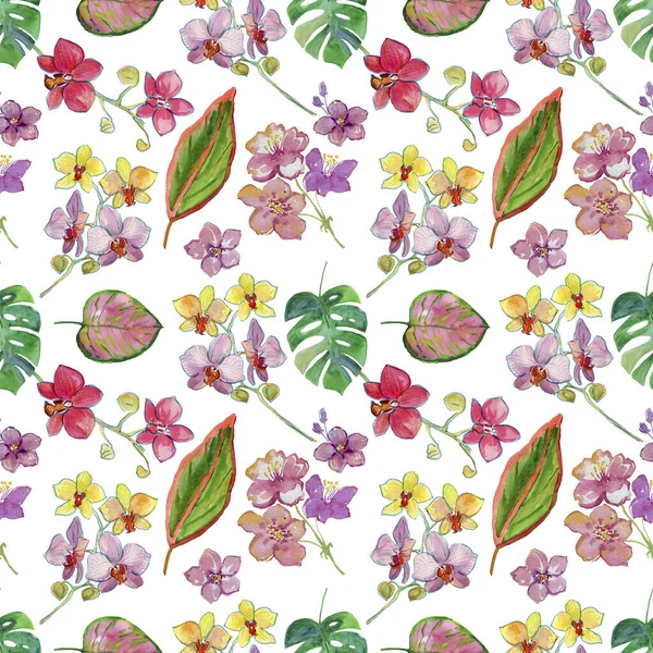 Patroon Met Kleurrijke Orchideeën Monsterabladeren — Stockfoto