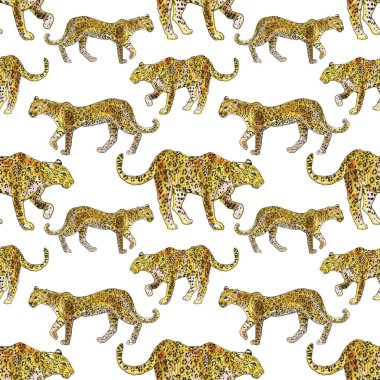 Beyaz leoparların izole edildiği kusursuz bir arkaplan