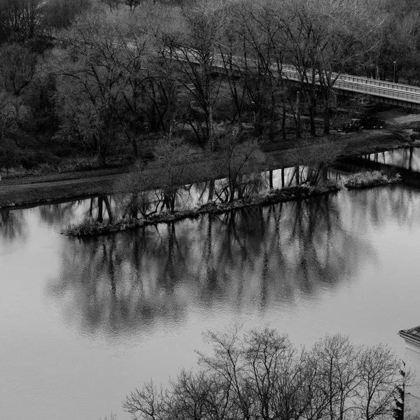 Árboles de invierno sin hojas reflejándose en el río Donau — Foto de Stock