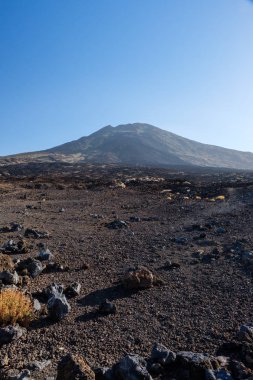 Volkanik lav tarlaları boyunca Teide Dağı 'nda görünüm