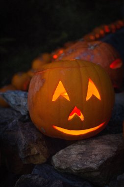 Aydınlanmış Jack-O-Lantern ailesi Kara Orman 'ı ziyaret ediyor.