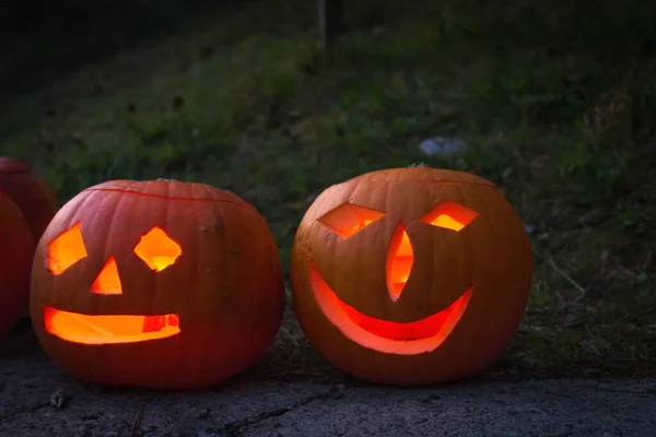 Φωτισμένη οικογένεια Jack-O-Lantern που επισκέπτεται το Μαύρο Δάσος — Φωτογραφία Αρχείου