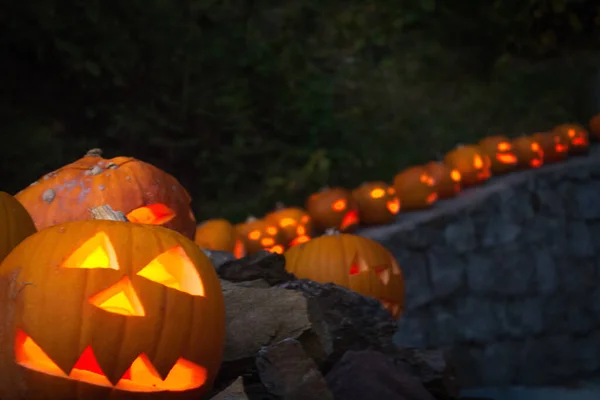 Illuminated Jack-O-Lantern family visiting the Black Forest — Stock Photo, Image