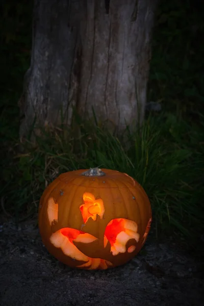 Famille Jack-O-Lantern illuminée visitant la Forêt Noire — Photo