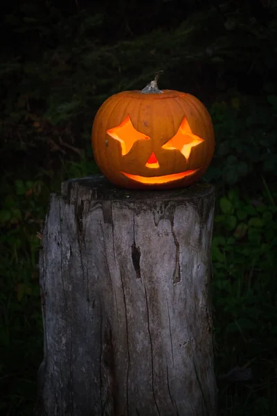 Familia iluminada Jack-O-Lantern visitando la Selva Negra — Foto de Stock