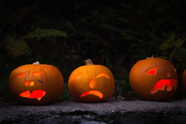 Familia iluminada Jack-O-Lantern visitando la Selva Negra — Foto de Stock