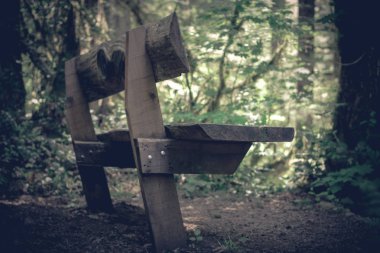 Ahşap bir ormanlık alanın kenarında görülen kamu bank inşa.