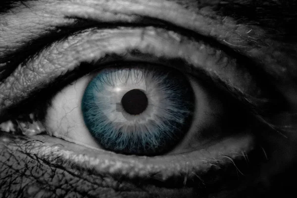 Macro image of human sad blue eye with tears, close-up details