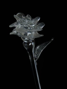 gri arka planda cam çiçek