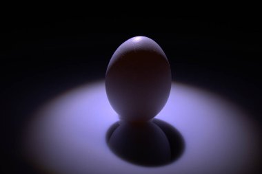 Yumurta masanın üzerinde duruyor.