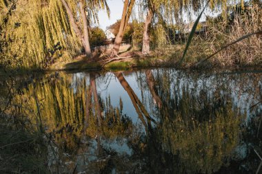 Ağaçlar sakin nehirde yankılanır.