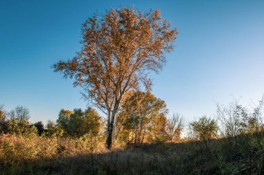 Bozkırda akşamdan sonbahara