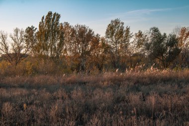 Bozkırda akşamdan sonbahara