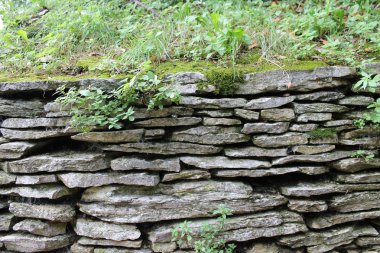 Sirmione İtalya Garda Gölü üzerinde güzel yeşil Park