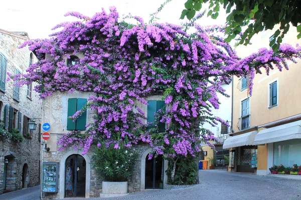 Garda Gölü üzerinde Sirmione'da eski sokak