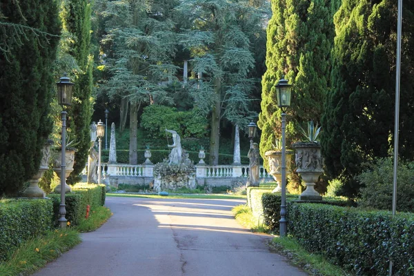 Bellissimo Parco Verde Sirmione Sul Lago Garda — Foto Stock