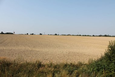 Ağustos günü Çek Cumhuriyeti 'nin tarlaları ve ormanları