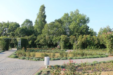 Petrin Tepesi Prag Çek Cumhuriyeti yaz manzara