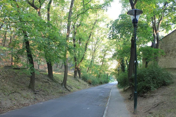 Las Curvas Del Camino Petn Hill Praga República Checa — Foto de Stock